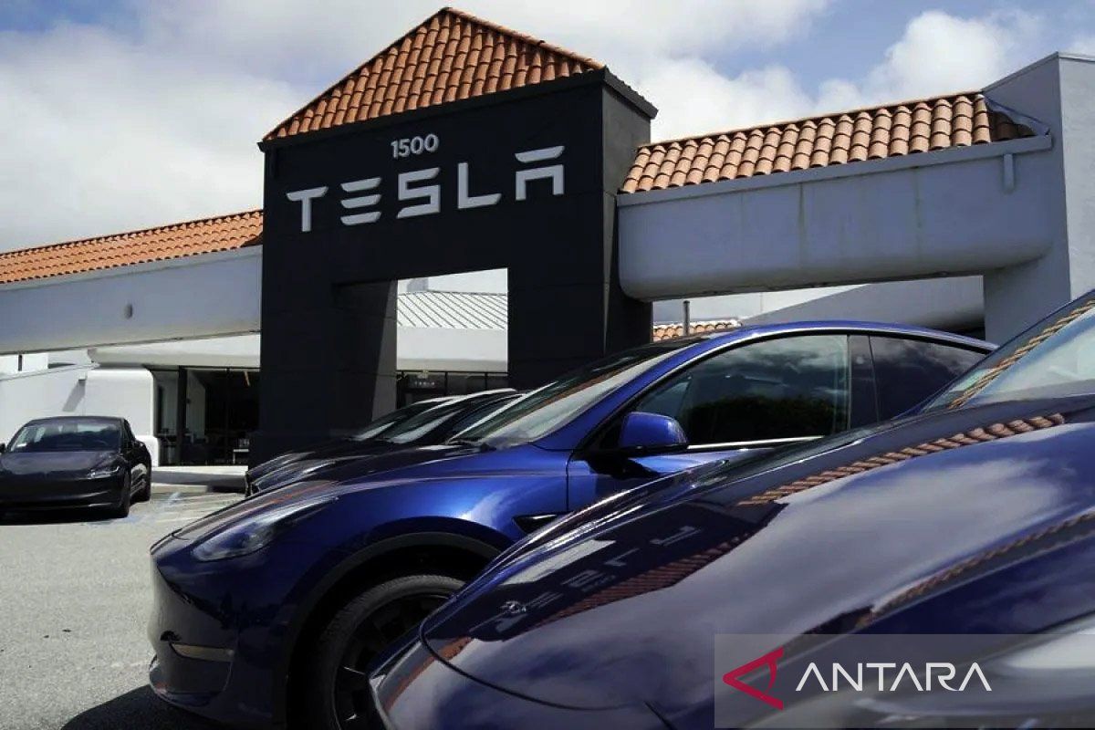 Penjualan Tesla di Jerman anjlok 60 persen pada Juni 2025