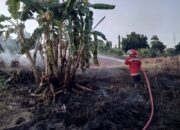 Lima Menit Kobaran Api Berhasil di Padamkan Petugas Damkar Dumai