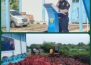 Bawang Merah Hasil Tangkapan di Musnahkan Bea Cukai Dumai Dengan Cara di Kubur