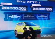 Penjualan kuartalan BYD group turun untuk pertama kalinya sejak 2020